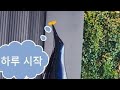 즐거운하루 , 문구 사장 브이로그, 청년마곡발산드림디포, 사무실 토크