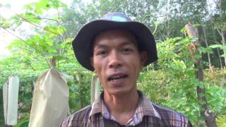 รายการคนไทยหัวใจเกษตร  24 มกราคม 2560  B2