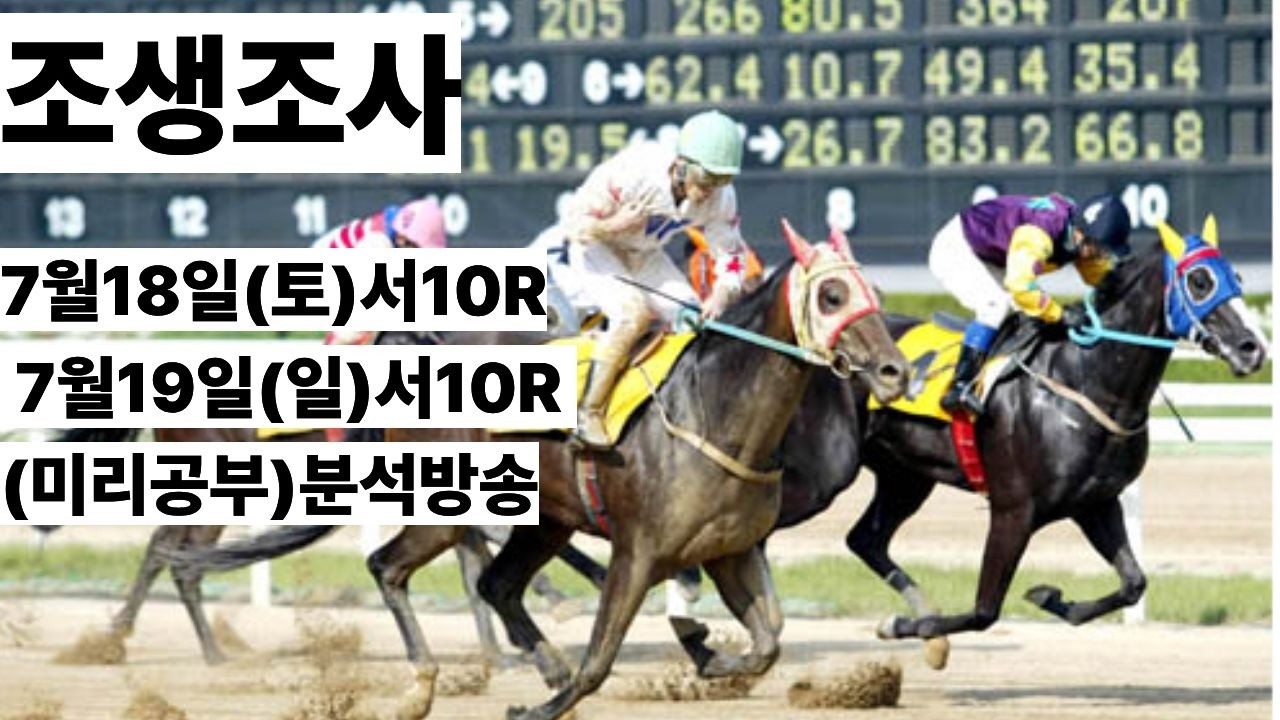 조생조사(7월3주차 토,일 마지막경주 분석)