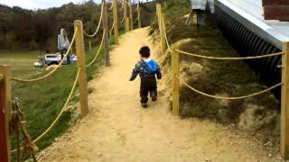 Pumpkin Patch Big Slide Oct. 23, 2011