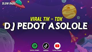 DJ PEDOT ASOLOLE | VIRAL TIK - TOK | TUYUL FVNKY |