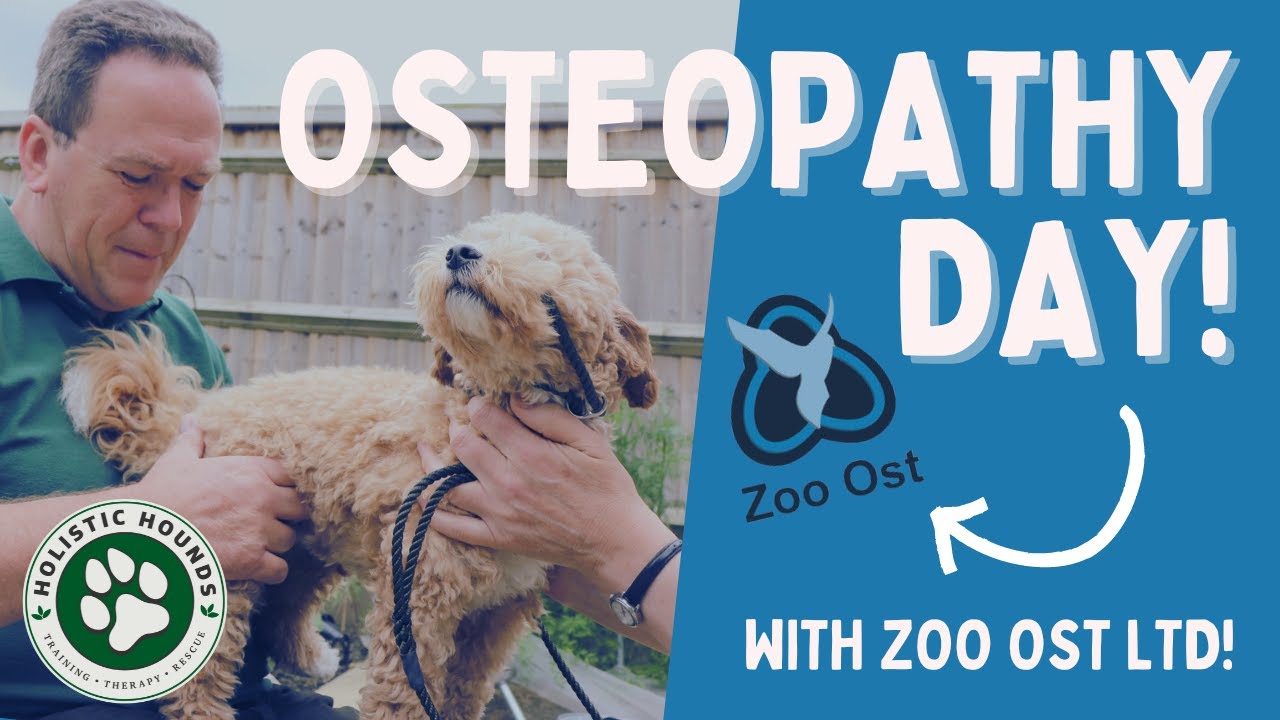 Osteopathy day with Tony Nevin, Zoo Ost Ltd