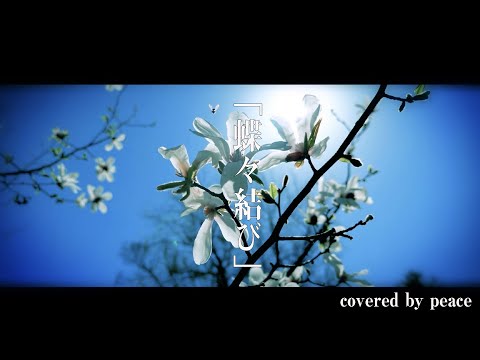 【歌ってみたMV】蝶々結び / Aimer【男性キー(-7)ピアノ伴奏】covered by peace