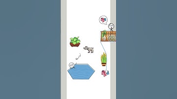 Level 122 funny game of thief puzzle #antistress #relaxinggame #game #shorts