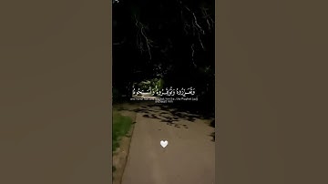 💙 #قران_كريم #quran #تلاوة_هادئة #قرآن #المصحف #اكسبلور