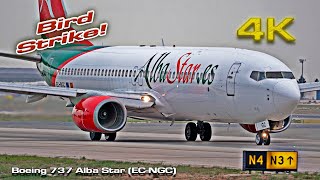 Boeing 737 Alba Star (EC-NGC) Bird Strike Valencia!