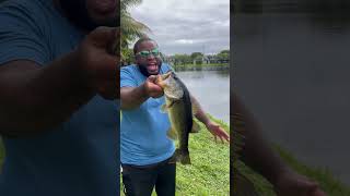 Lil largemouth 🎣 #fyp #largemouthbass #bass #freshwater #florida #fishing @stackz954