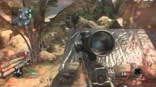 Black Ops: A Ridiculous Hitmarker