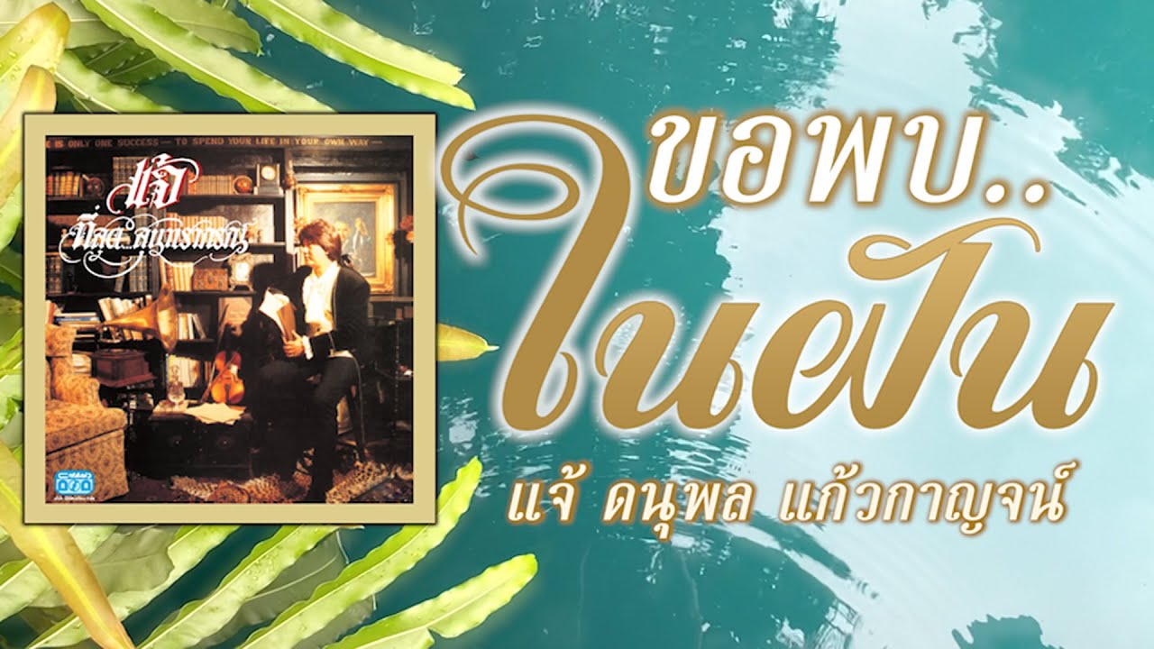 ปกเพลง ขอพบในฝัน (Audio) — CHAE DANUPOL KAEWKANJAN