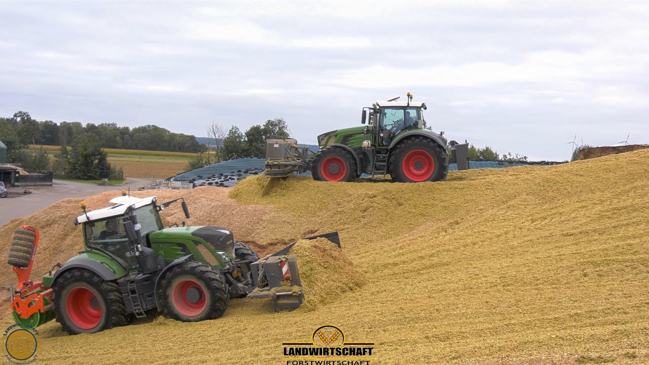 Der 16 Meter hohe Maisberg! Und immer noch kein Ende in Sicht Großeinsatz Mais Schieben & Walzen 