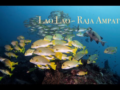 Lao Lao - Raja Ampat 2020