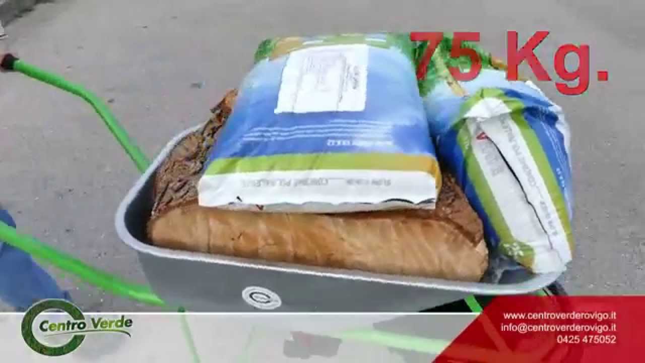 Carriole elettriche per fare meno fatica!