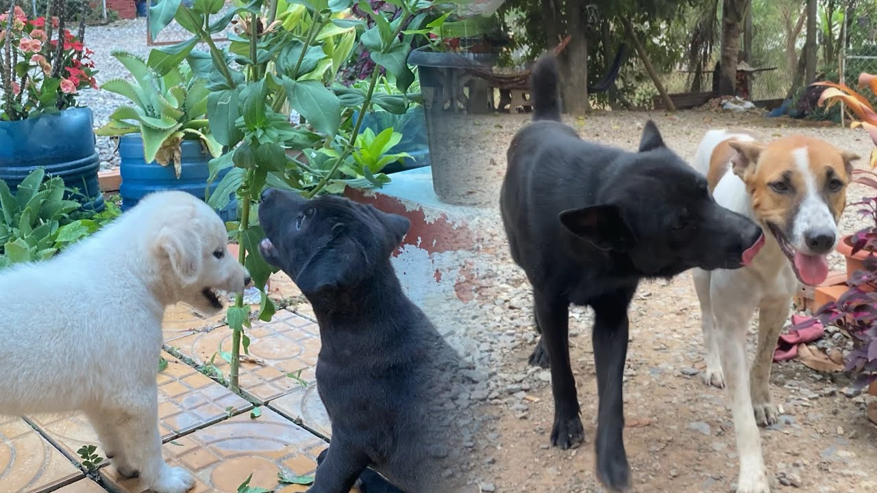 Baby Growing Up It’s Time For dad and Mom Sweet again 😂