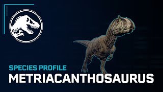 Species Profile - Metriacanthosaurus
