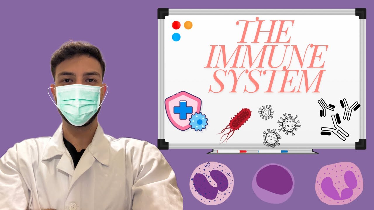 The Immune System: MADE EASY - YouTube