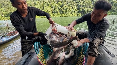 5 Ngày Trở Lại￼ Mồi Bẫy Cá Nào Hệu Quả Nhất | FISHING Fish trap in the forest