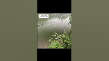 Ná cao su bắn cá - mũi tên V7 quá phê