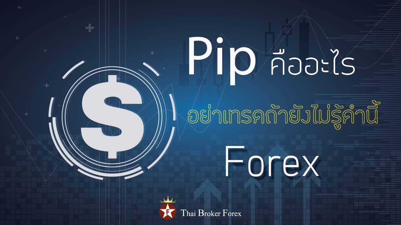 Binary options South Africa: Forex สบายๆ pips ค อ pip ค อ forex
