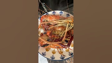 Tôm càng xanh hấp nước dừa cực phê