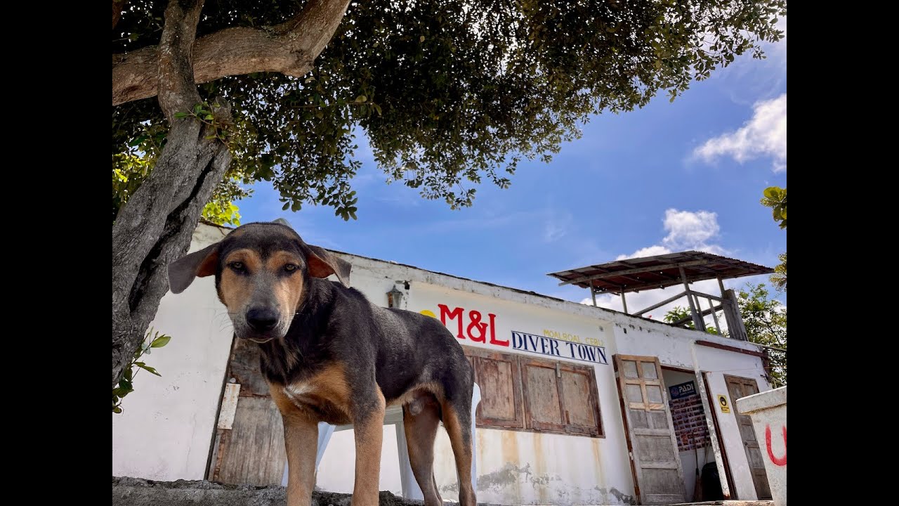 Today's weather and sea conditions