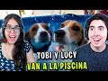 LLEVO a LUCY y TOBI a la PISCINA y ESTA FUE su REACCIÓN