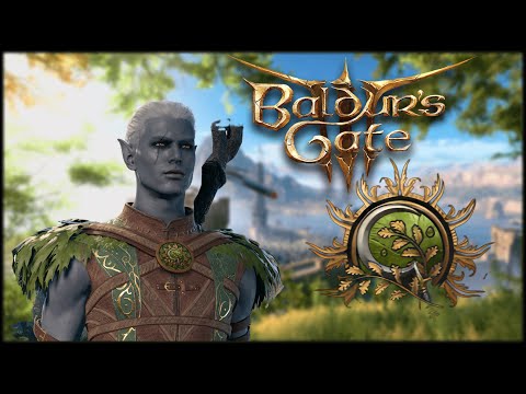 Разбор класса Друид V2.0 Baldur's Gate 3
