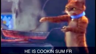 shitpost status v3