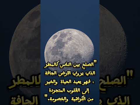 أصلح بين الناس انشر دينك الصلح Shorts