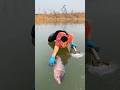 Save the Frozen Fish 🐟❄️ | No One Liked His Hard Work 😢 #shorts #ytshorts