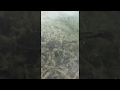 【ブラックバスの謎の行動】え...どうしたの⁉︎