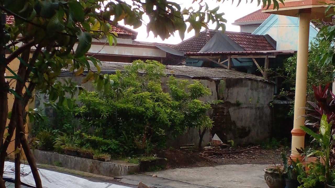 Live Live Cuaca Hujan di Gresik Jawa Timur