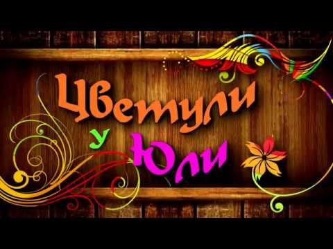МНОГОЛЕТНИКИ В МОЁМ ЦВЕТНИКЕ.
