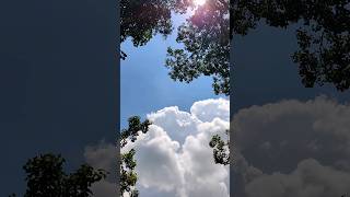 Dil Kyun Yeh Mera Flute Beautiful Nature Inner Peace