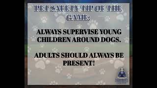 New York Dog Bite Lawyer Pet Safety Tip of the Month - July 2026