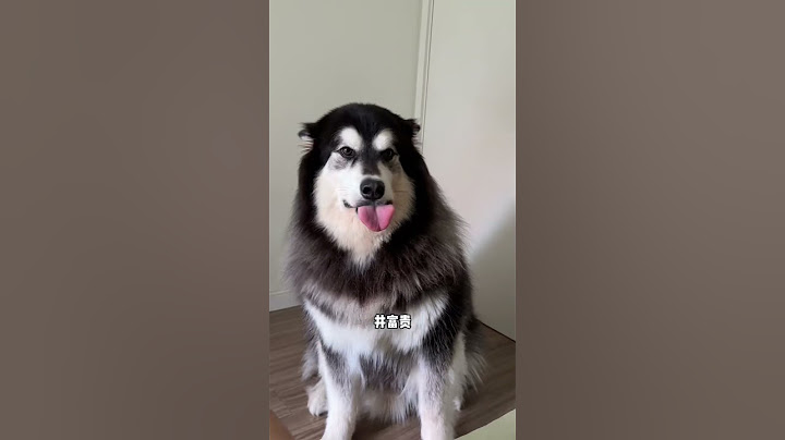对爸妈持有两种态度的双标小狗 - 天天要闻
