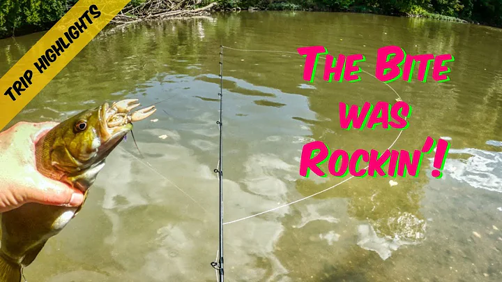 Catching a bunch of BASS on the Jenko Double Down BFS