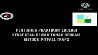 Praktikum menggunakan Metode Pitfall Trap