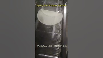 Spring Roll Wrapper Machine: Fast, Efficient, and Consistent Results#springrolls #springrollwrapper