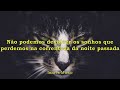 Alexandros - We Are Still Kids &amp; Stray Cats (Legendado Pt-Br)