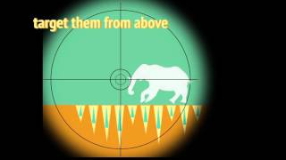 Elephants' Ivory Poaching Motion Graphic