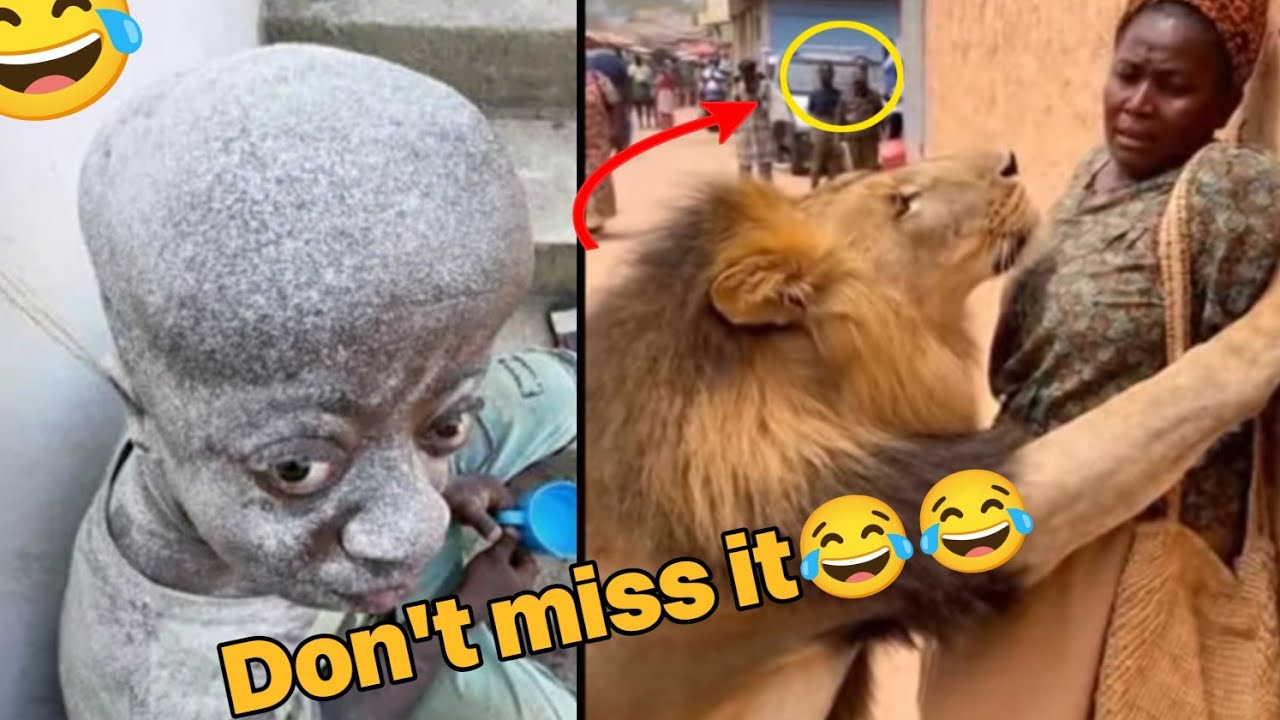 So funny you will forget what you were doing | part 2😂😂