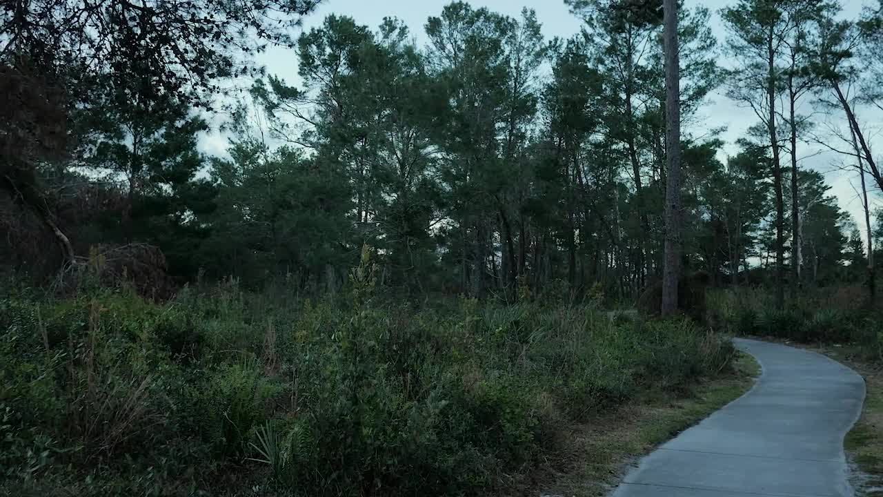 High Ridge Scrub - YouTube