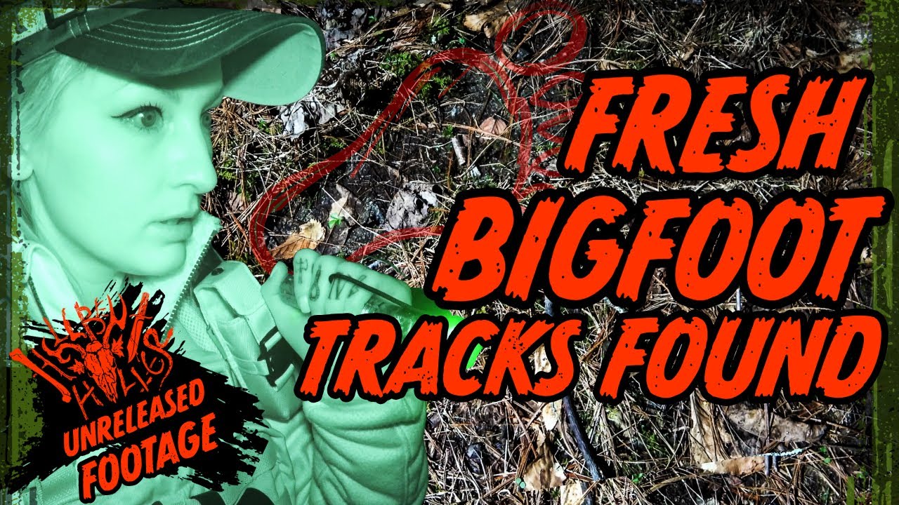 We Find Fresh Bigfoot Prints - Sasquatch Encounter & Investigation Hellbent RAW: From The Archives