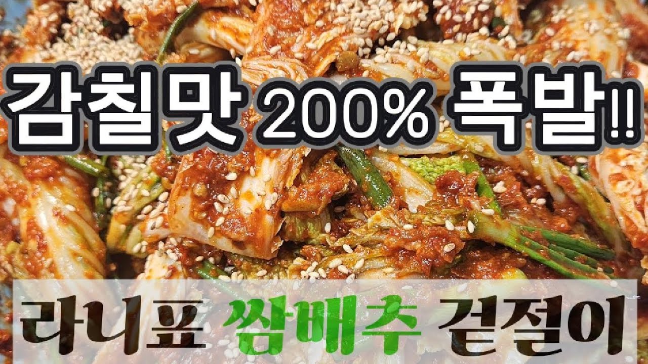 "라니야 이거 팔면 안 돼?" 돌이가 밥 3공기 비운 마성의 쌈배추 겉절이