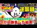 1/88 にゃんこ大戦争 甘デジ1万円勝負！相性バツグンの台で連勝を狙う！ 【300万負け男】【まやまリベンジ】【パチンコ】【パチスロ】【実践】【京楽産業】【KYORAKU】#35