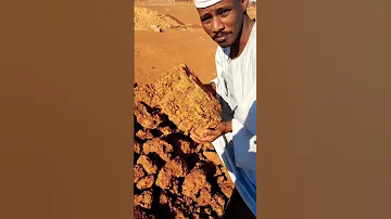 شاهد كمية الذهب الخام المستخرج من باطن الارض في السودان تم اكتشافه حديثا 