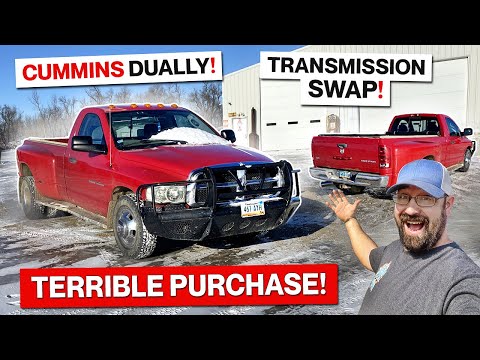 Cheap Diesel Horsepower! Budget Friendly Cummins!