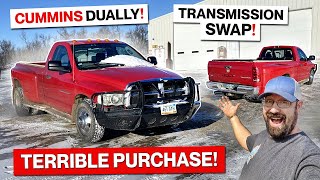Cheap Diesel Horsepower! Budget Friendly Cummins!