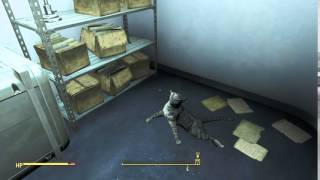 Fallout 4 dancing cat