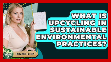What Is Upcycling In Sustainable Environmental Practices? - Explaining Ecology